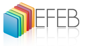EFEB Üzleti Szakközépiskola